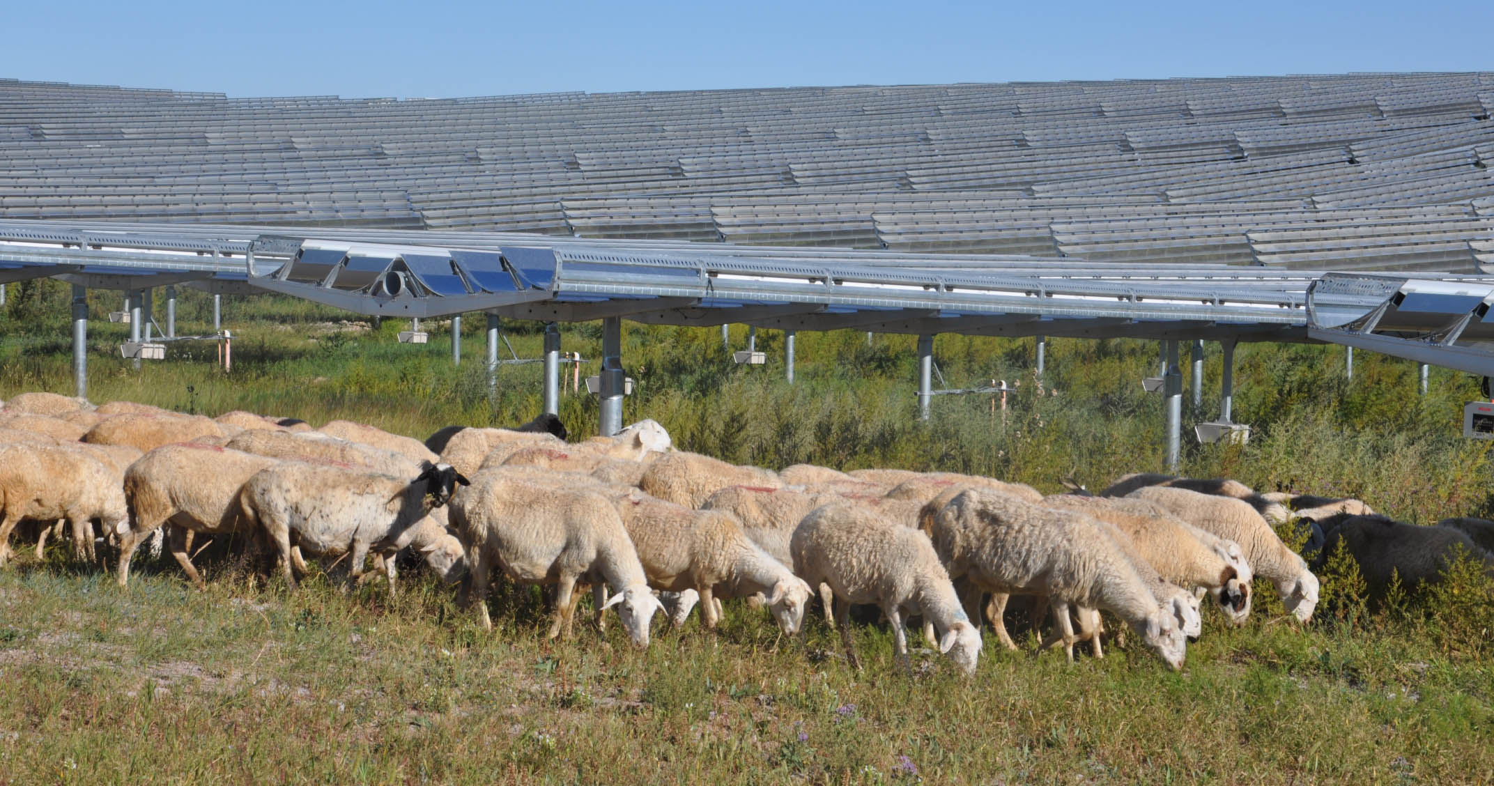 環境 (Environmental)