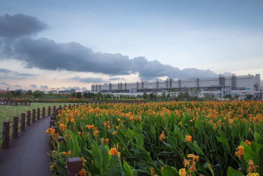 TCL 華星濕地公園